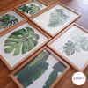 set-de-cuadros-decorativos-hojas-palmeras-verde-posteres