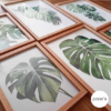 set-de-cuadros-decorativos-hojas-palmeras-verde-posters-uruguay