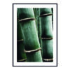 cuadro-decorativo-bambo
